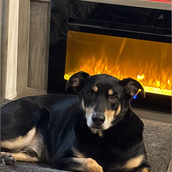 Meet your Posher, Jen - Picture 10 of 11